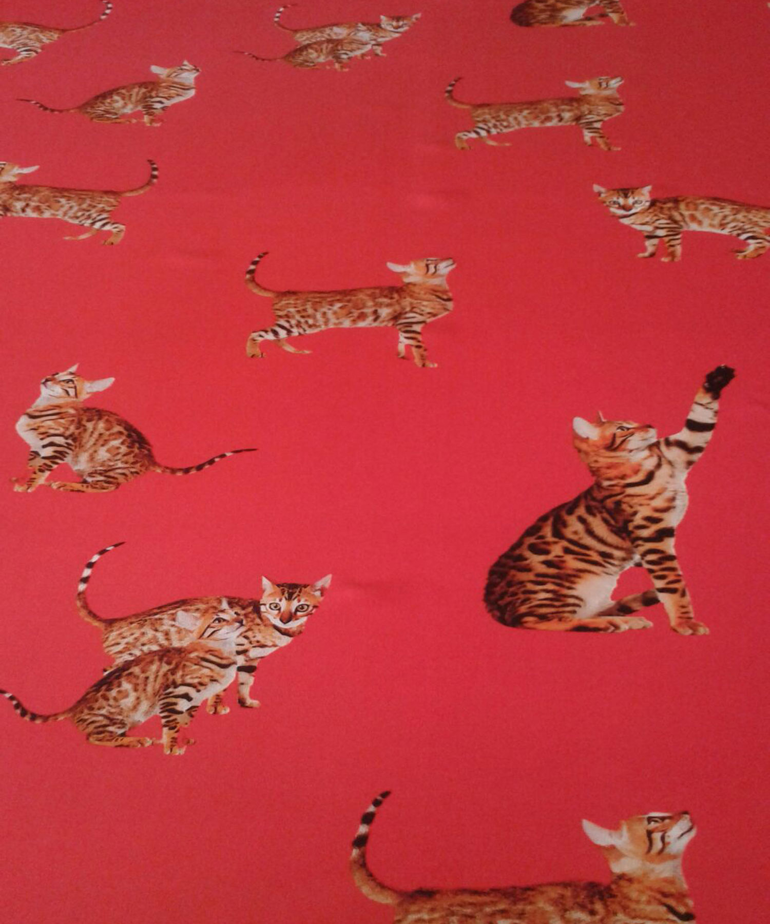 ��������� D&G �������� � ������