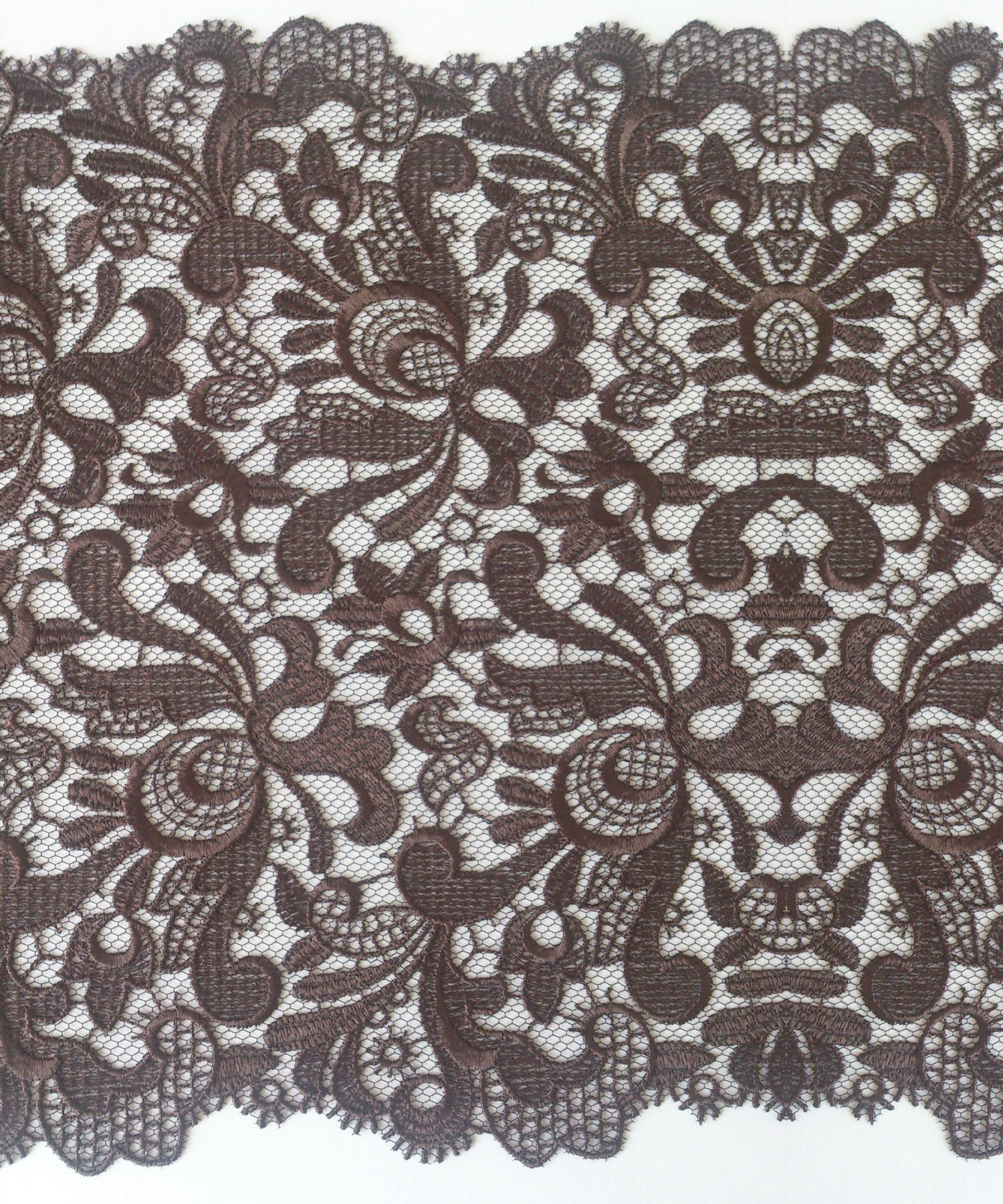 Establishing Your Brand on College Campuses