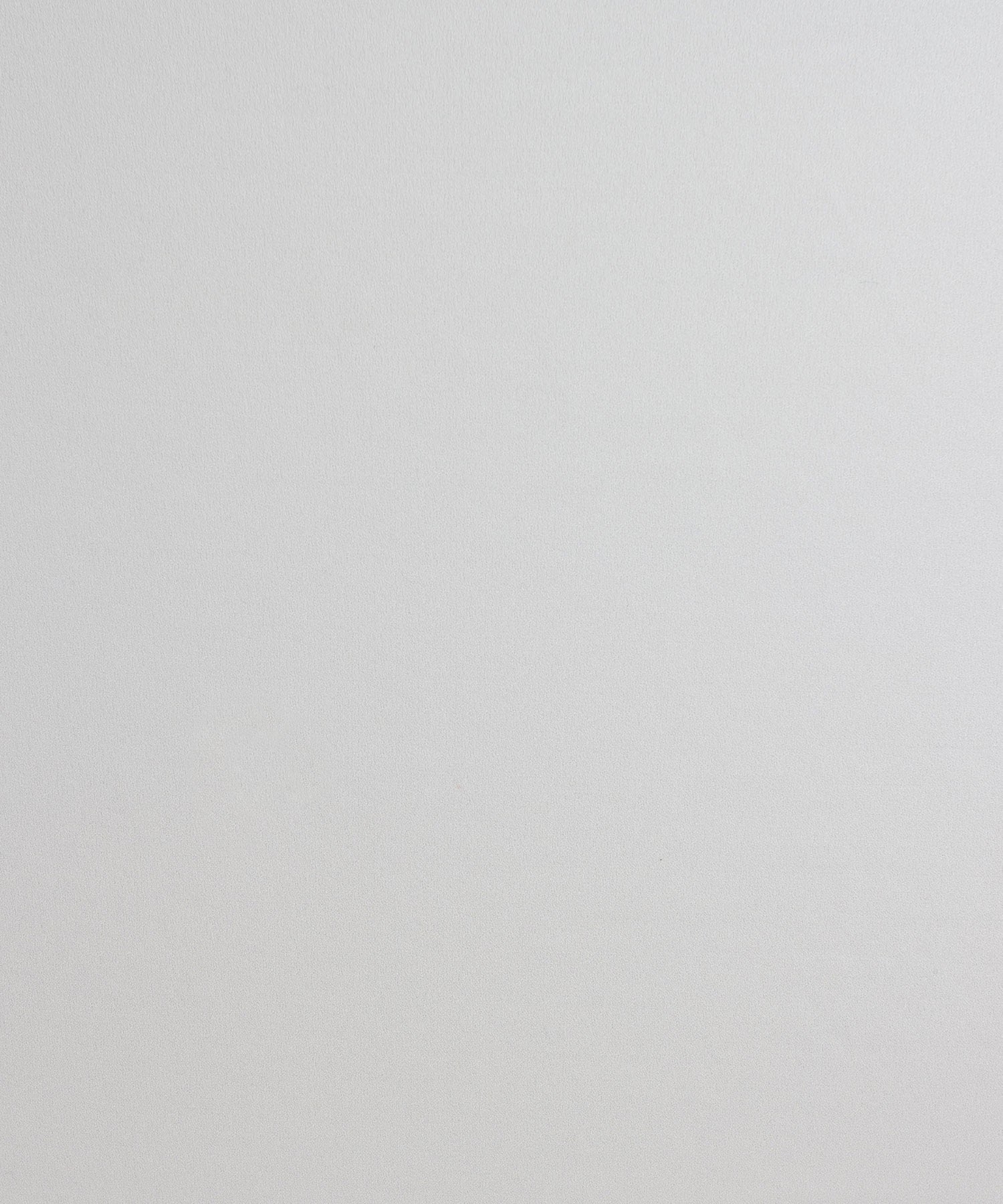 ���� ��������/�����