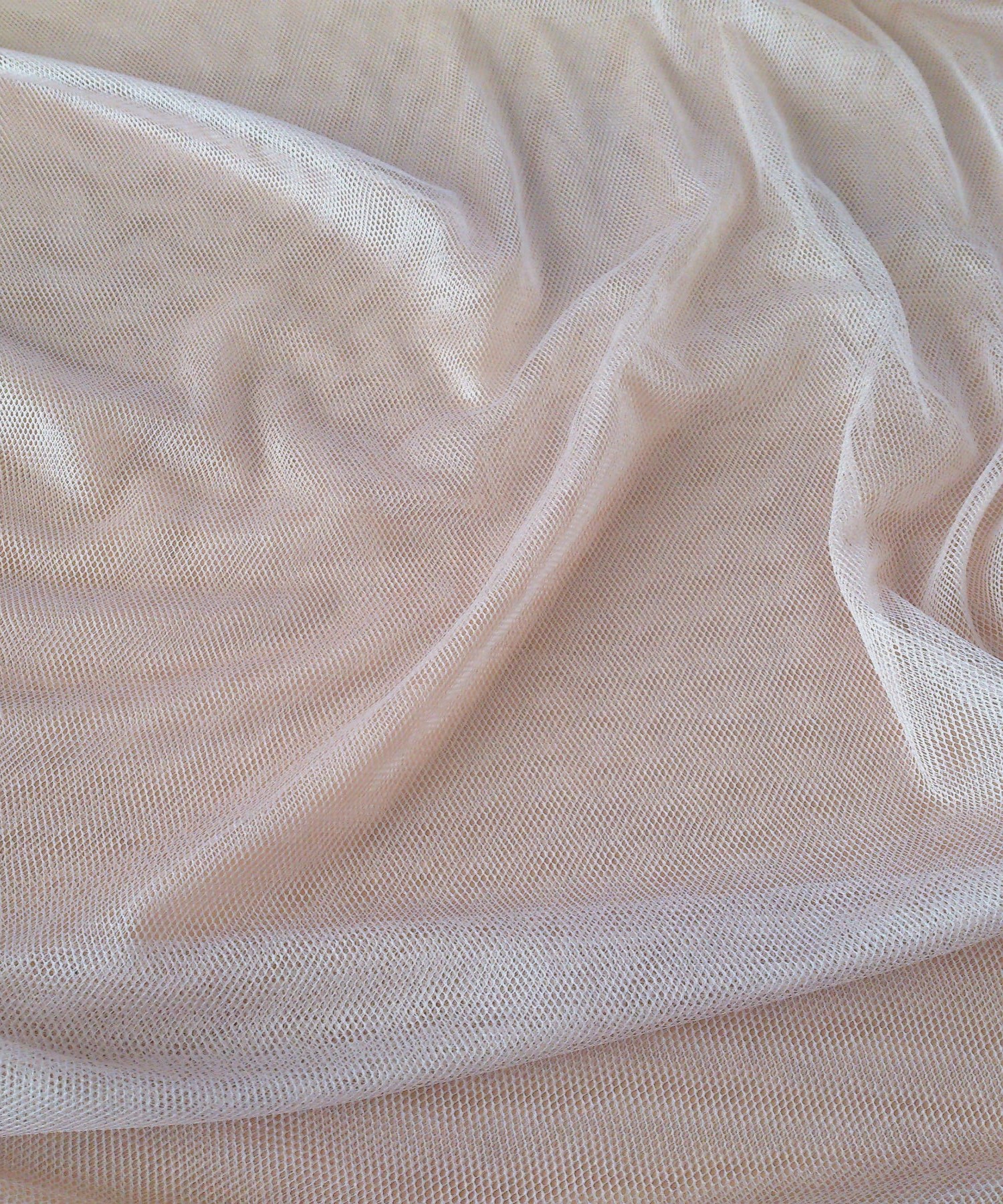 ���� ������ ����