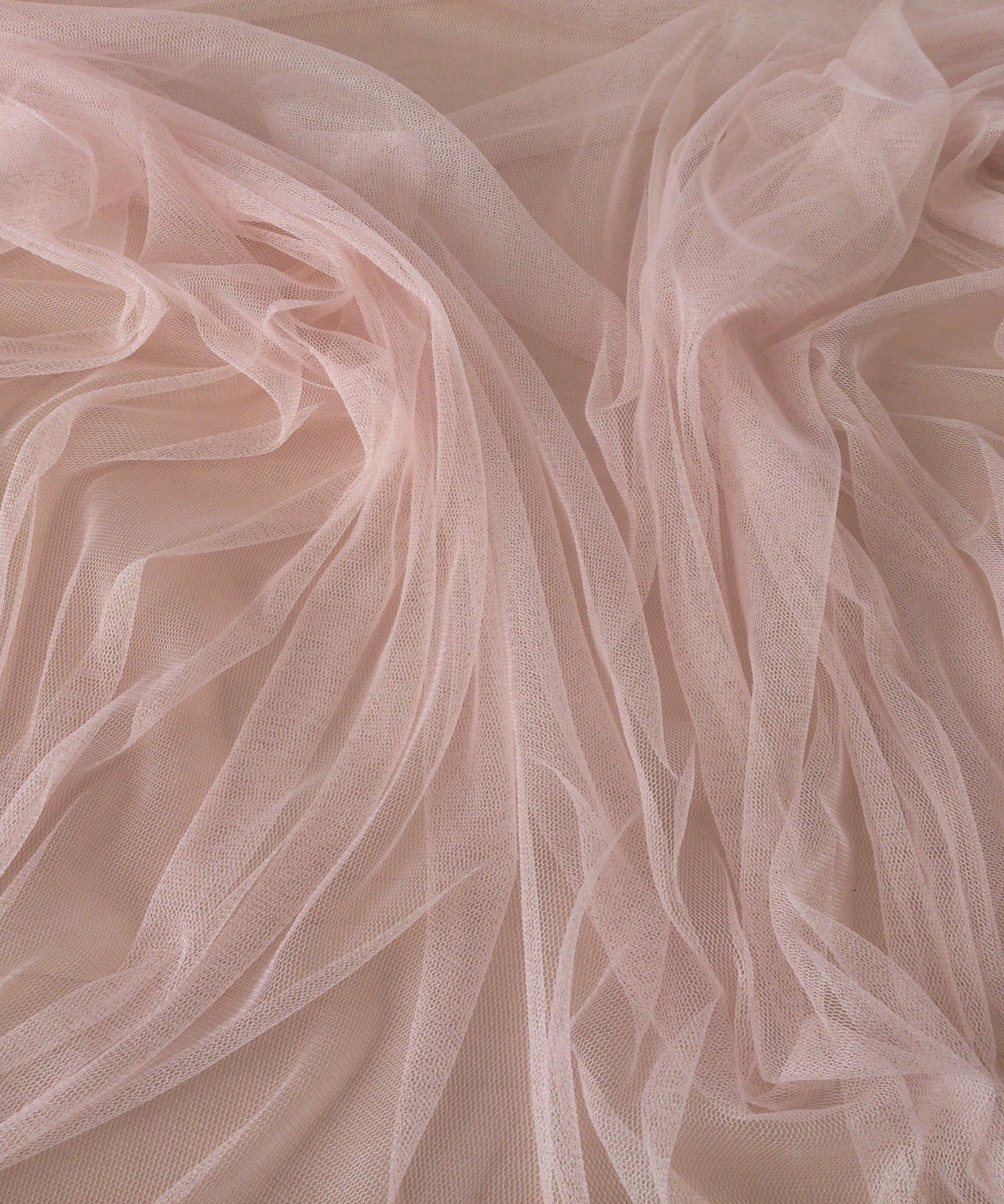 Establishing Your Brand on College Campuses