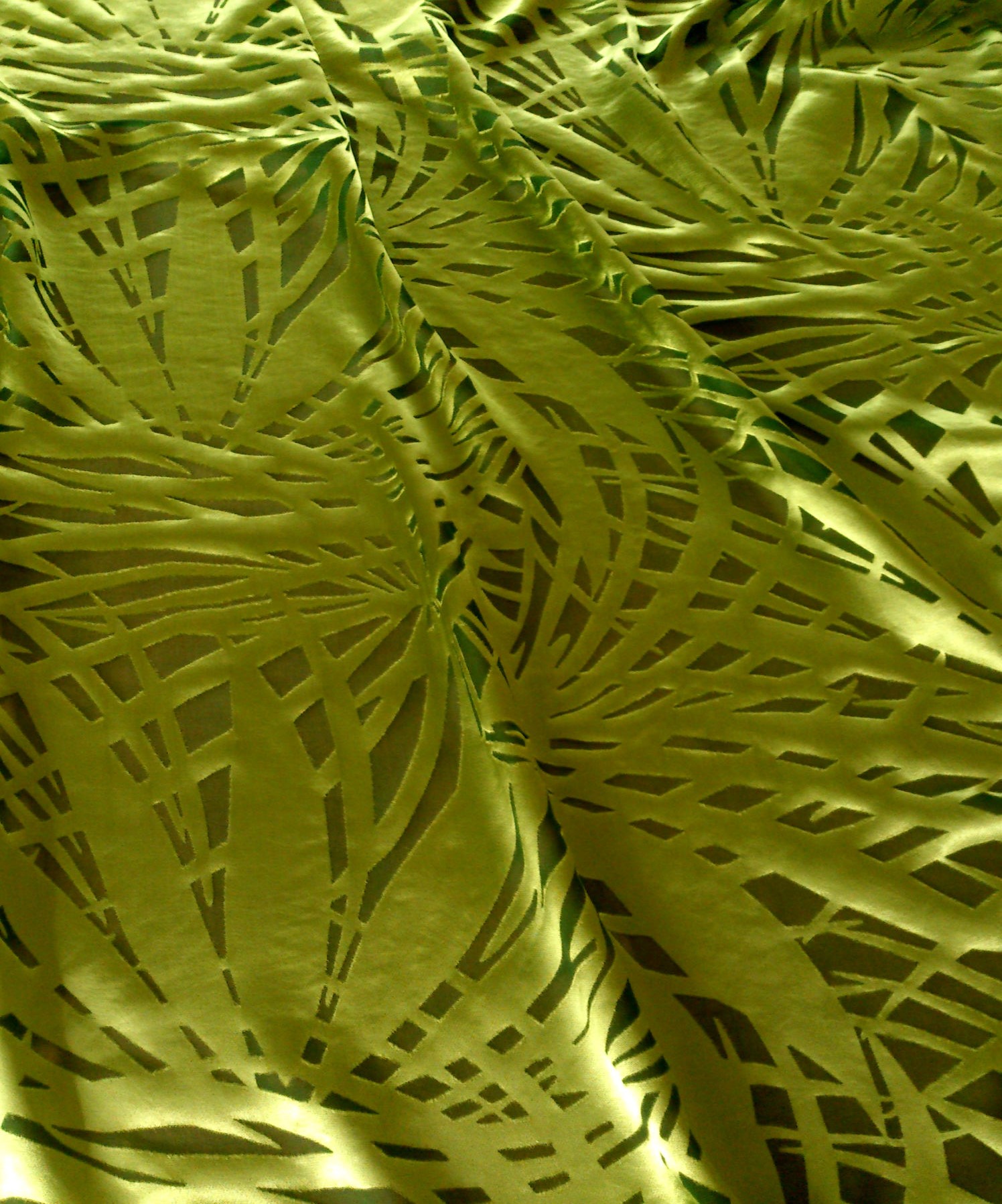 Establishing Your Brand on College Campuses