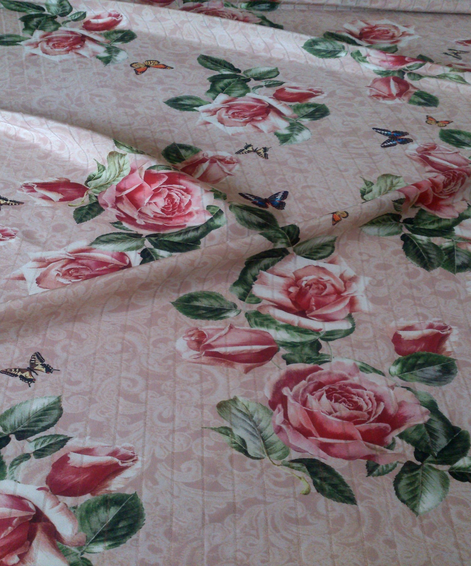 ��������� D&G ���������� ����� � ������� ����