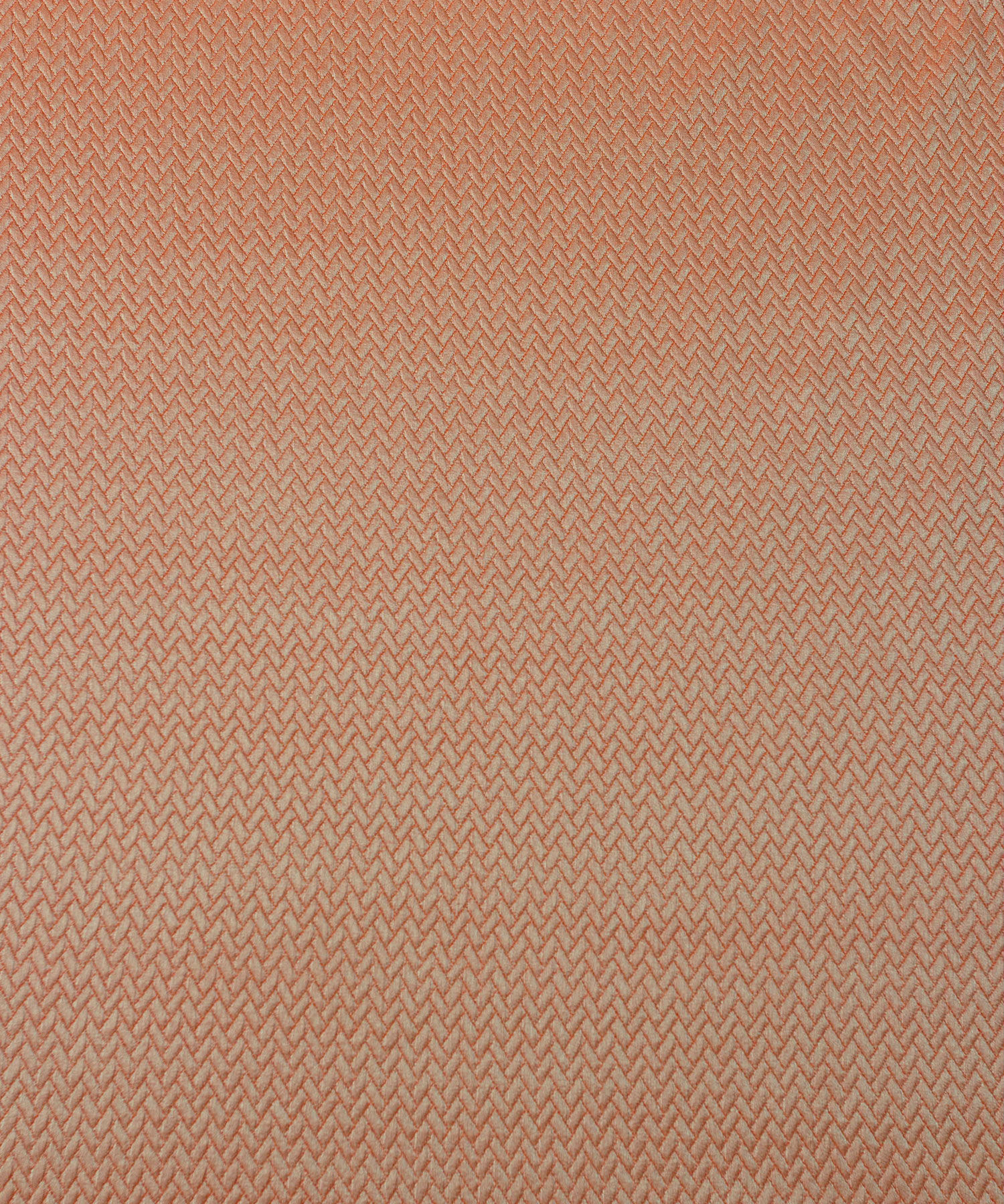 �������� ����� ������ ����/������