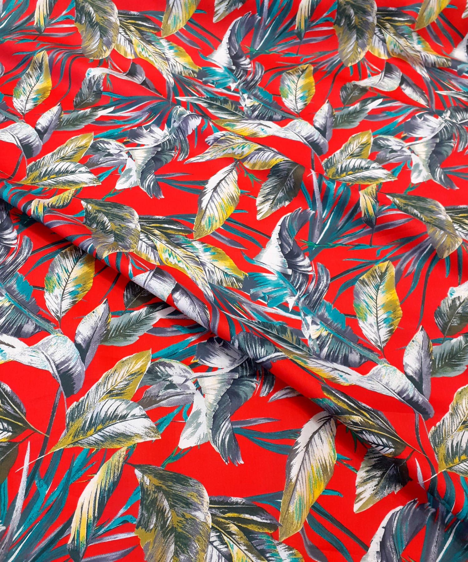 ����� ����� �� ��������� ��/�������