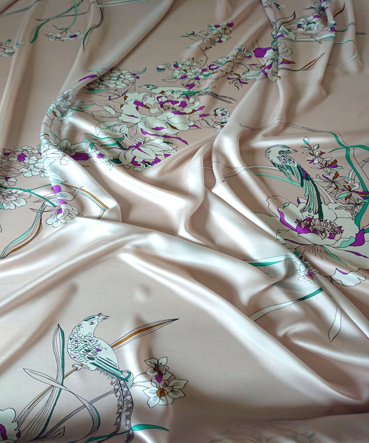 ������ ������ ��� ���� �� ����� ����/�������