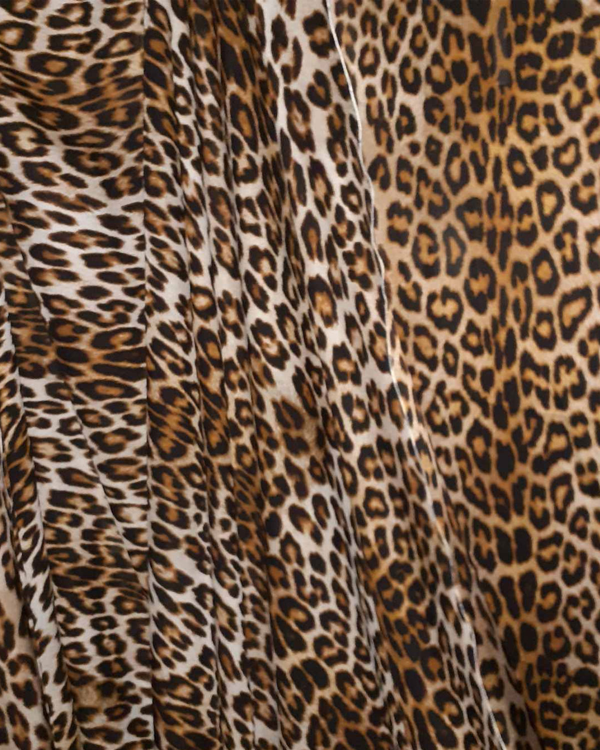 ���� �������