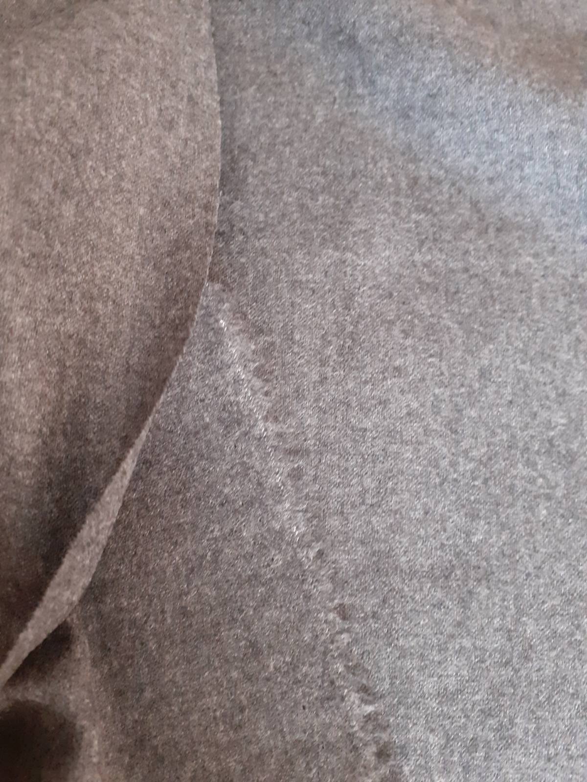 Establishing Your Brand on College Campuses