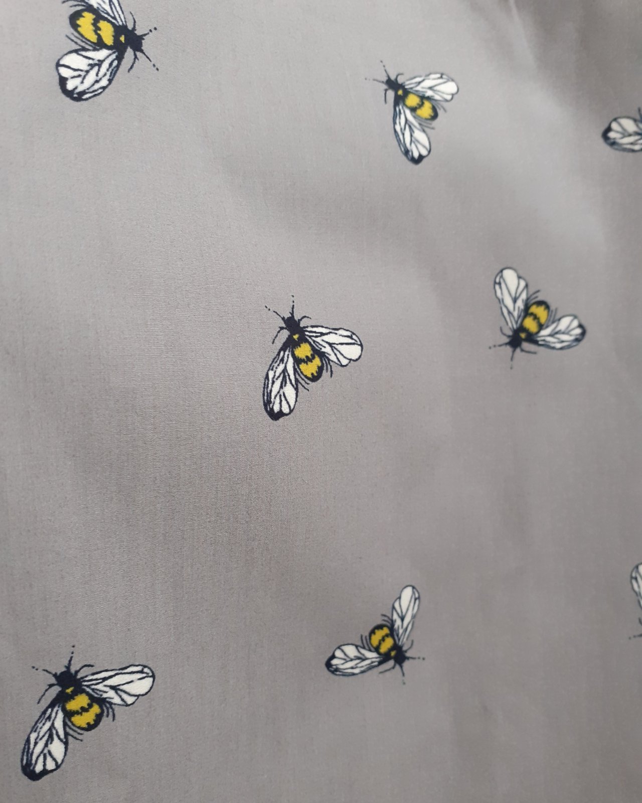 ����� ������