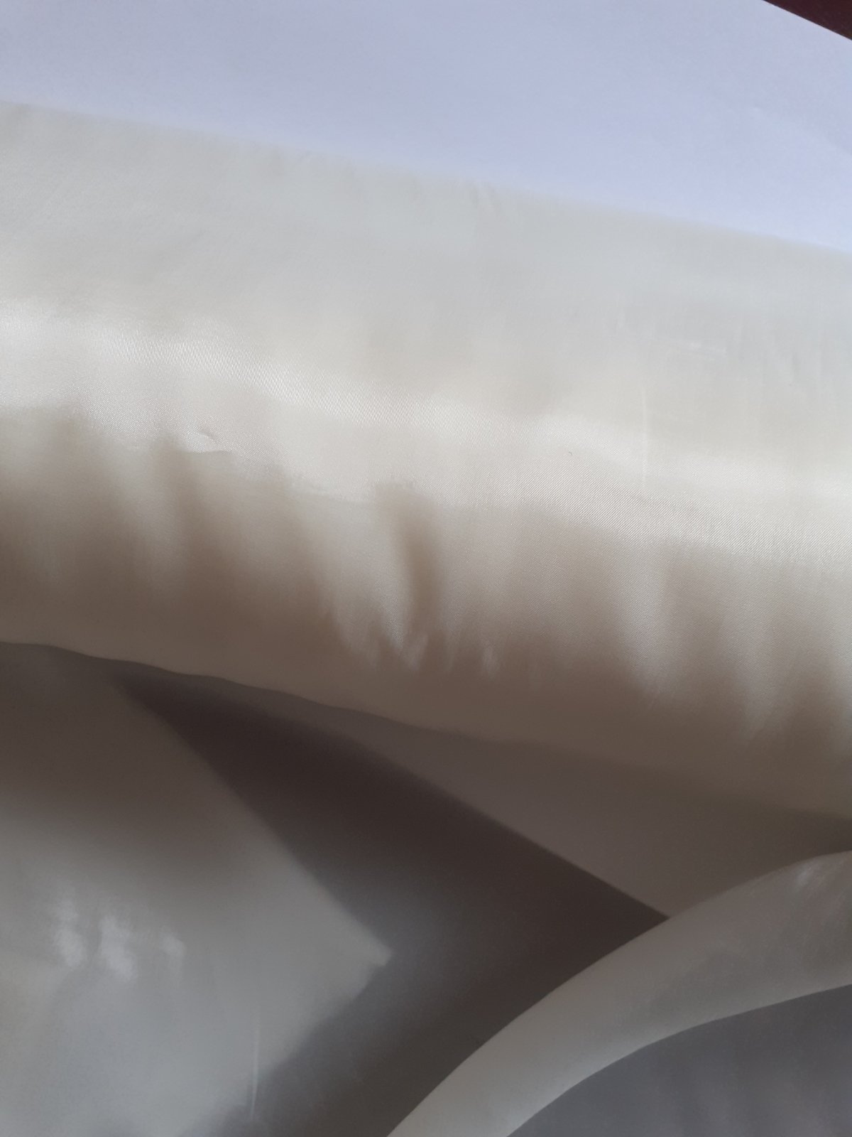 Establishing Your Brand on College Campuses